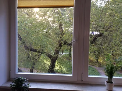 Mieszkanie na wynajem, 37 m² Żoliborz, Dymińska - miniatura 5