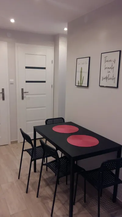 Mieszkanie do wynajęcia, 50 m² Wieniawa, Przy Stawie - miniatura 2