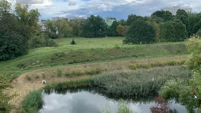 Kawalerka na wynajem, 30 m² Sady Żoliborskie - miniatura 4