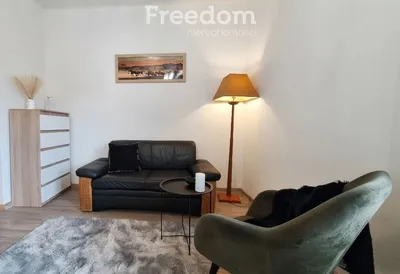 Kawalerka do wynajęcia, 23 m² Łódź, Północna - miniatura 5