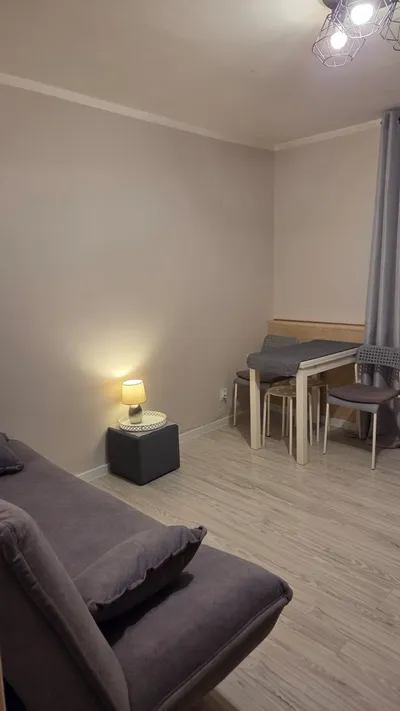 Kawalerka na wynajem, 20 m² Stare Miasto, Felicjanek - miniatura 4