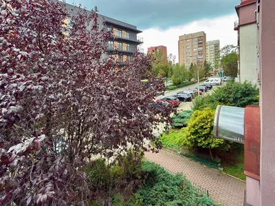 Mieszkanie do wynajęcia, 32 m² Krowodrza, Zaczarowane Koło