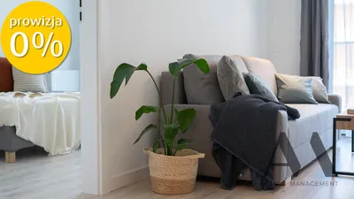 Mieszkanie na wynajem, 40 m² Wrocław, Walońska - miniatura 3