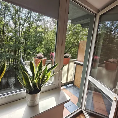 Mieszkanie na wynajem, 51 m² Krowodrza, Księdza Józefa Meiera - miniatura 4