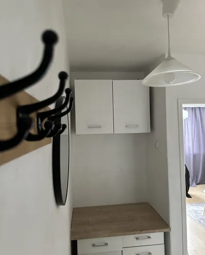 Mieszkanie do wynajęcia, 54 m² Centrum, Józefa Sowińskiego - miniatura 4