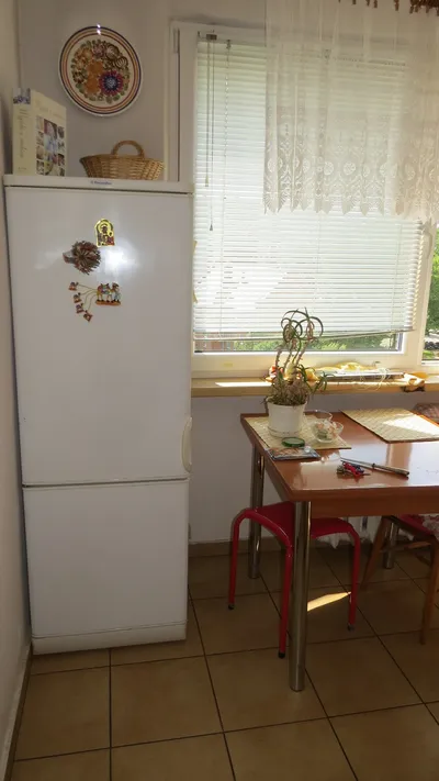 Mieszkanie na wynajem, 50 m² Politechnika, Pszczyńska - miniatura 4