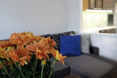 Mieszkanie do wynajęcia, 48 m² Ursynów, Eugeniusza Lokajskiego - miniatura 2