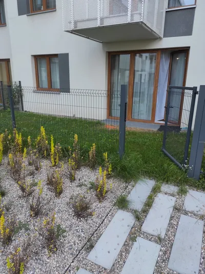Mieszkanie na wynajem, 36 m² Czyżyny