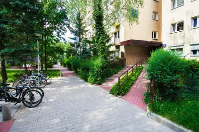 Mieszkanie do wynajęcia, 30 m² Służew, Pieskowa Skała - miniatura 3