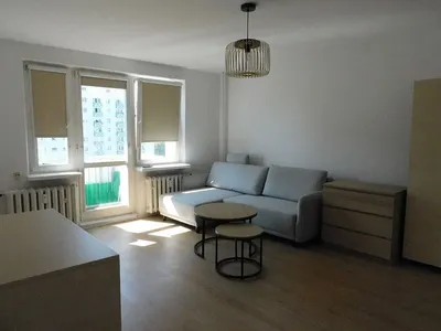 Kawalerka do wynajęcia, 32 m² Piątkowo - miniatura 2