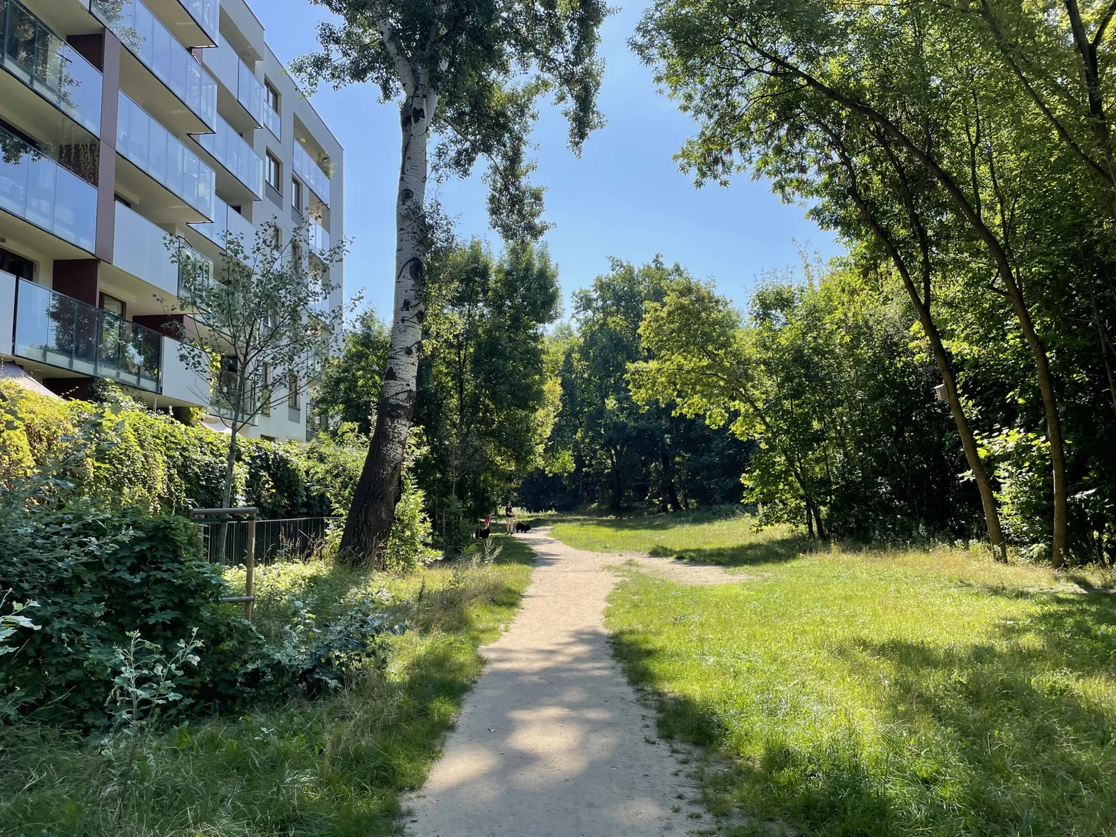Mieszkanie na wynajem, 46 m² Żoliborz, Kaliny Jędrusik - 1/21