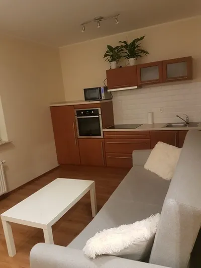 Kawalerka na wynajem, 24 m² Piątkowo, Osiedle Władysława Jagiełły - miniatura 4