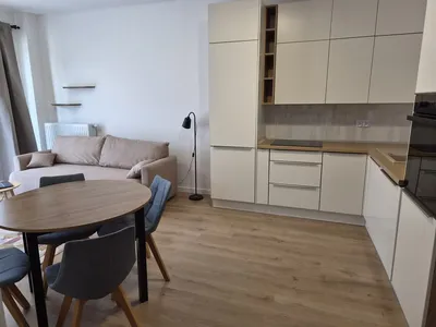 Mieszkanie na wynajem, 50 m² Bałuty, Świtezianki - miniatura 2