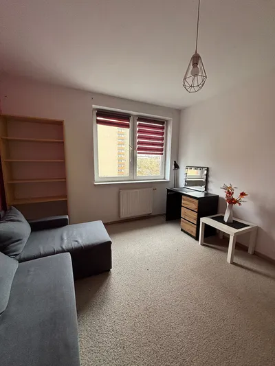 Mieszkanie na wynajem, 49 m² Winiary, Świętego Leonarda - miniatura 4