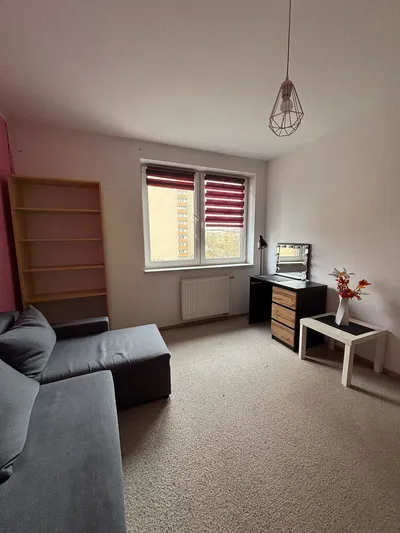 Mieszkanie na wynajem, 49 m² Winiary, Świętego Leonarda - miniatura 5