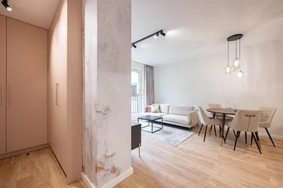 Mieszkanie na wynajem, 71 m² Śródmieście - miniatura 4