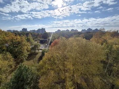 Wynajmę Mieszkanie Warszawa - 34 m² - miniatura 4