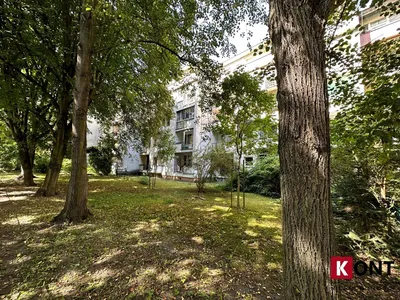 Wynajmę Mieszkanie Kraków - 51,30 m² - miniatura 2