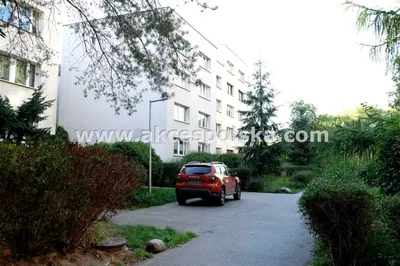 Wynajmę Mieszkanie Warszawa - 42 m² - miniatura 4
