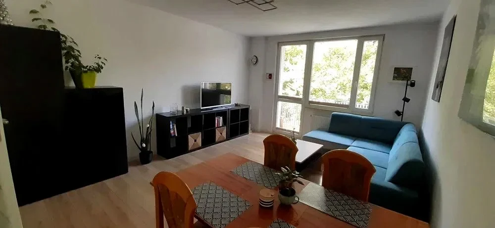 Wynajmę Mieszkanie Kraków - 50 m² - 1/13
