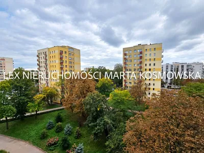 Wynajmę Mieszkanie Warszawa - 40 m² - miniatura 2
