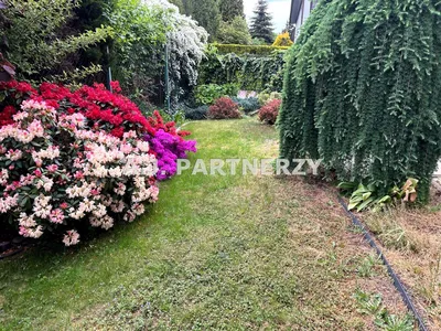 Wynajmę Mieszkanie Kraków - 80 m² - miniatura 2
