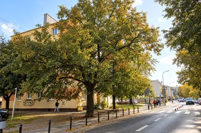 Wynajmę Mieszkanie Poznań - 43 m² - miniatura 2