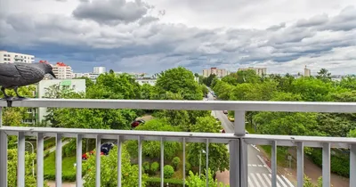 Wynajmę Mieszkanie Warszawa - 37,90 m² - miniatura 4
