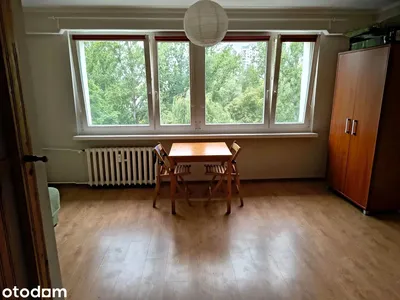 Wynajmę Mieszkanie Poznań - 24,40 m² - miniatura 3