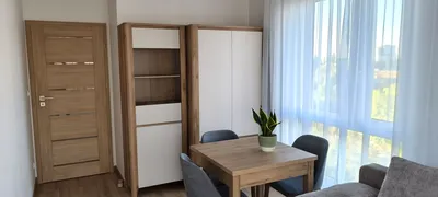Wynajmę Mieszkanie Poznań - 38 m² - miniatura 2