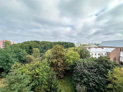 Wynajmę Mieszkanie Warszawa - 16 m² - miniatura 5