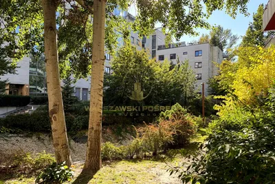 Wynajmę Mieszkanie Warszawa - 38 m² - miniatura 3