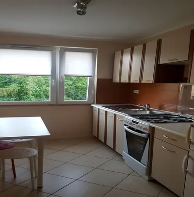 Wynajmę Mieszkanie Kraków - 40 m² - miniatura 5