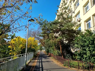 Wynajmę Mieszkanie Warszawa - 36,63 m²