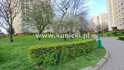 Wynajmę Mieszkanie Warszawa - 35,50 m² - miniatura 3