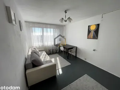 Wynajmę Mieszkanie Kraków - 24 m² - miniatura 3