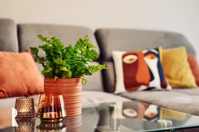 Wynajmę Mieszkanie Poznań - 55 m² - miniatura 3