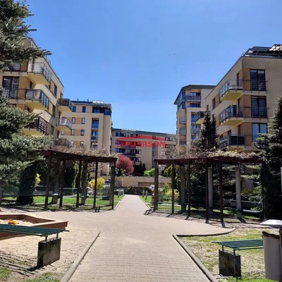 Zadbane osiedle mieszkaniowe z zielonym dziedzińcem, alejkami spacerowymi, ławkami, pergolami i balkonami, idealne dla osób szukających spokojnego najmu w otoczeniu zieleni.