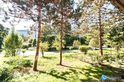 Wynajmę Mieszkanie Kraków - 80 m² - miniatura 3
