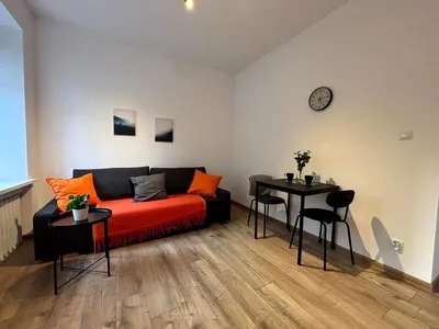 Wynajmę Mieszkanie Łódź - 19 m² - miniatura 2
