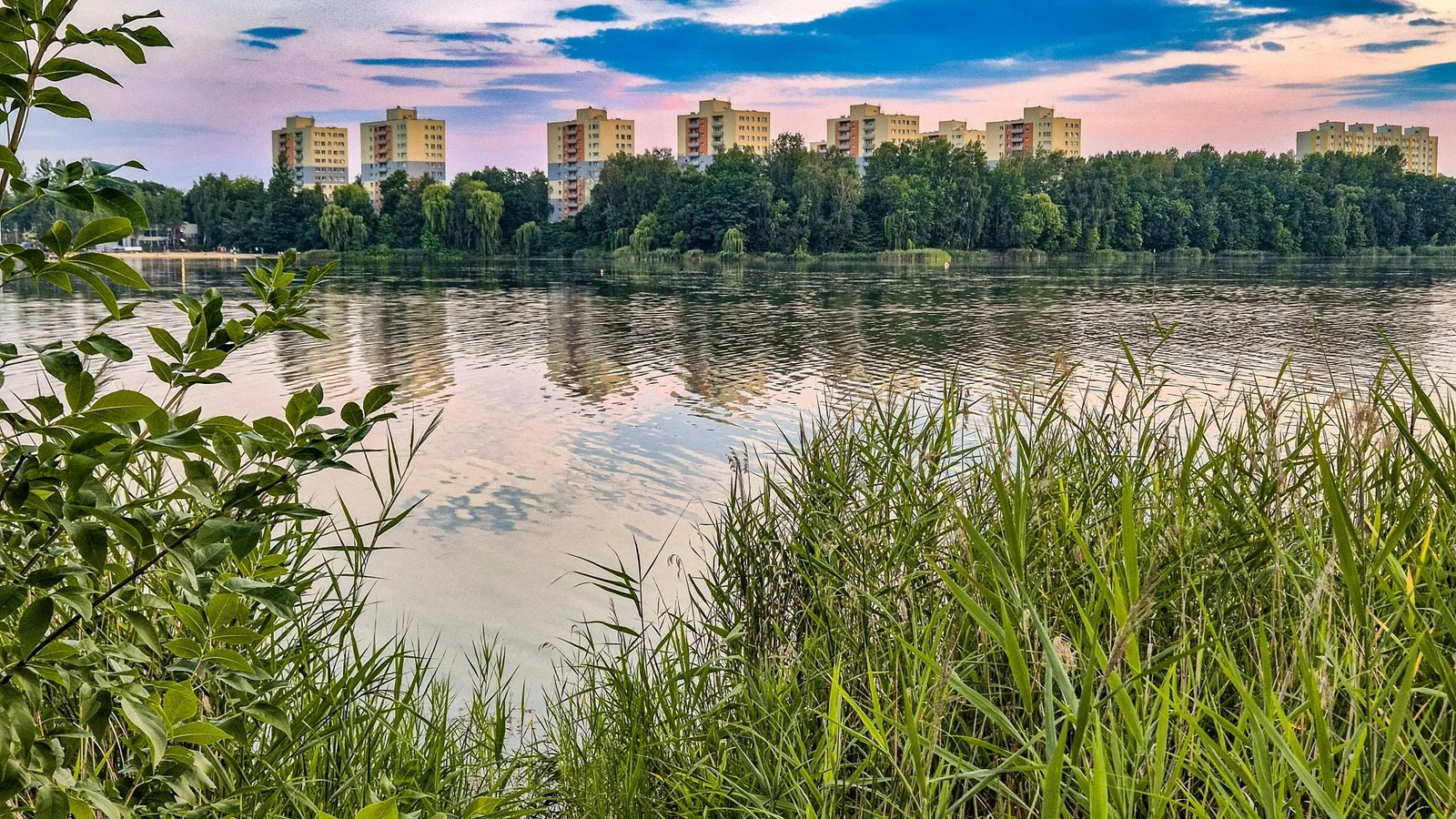 Wynajmę Mieszkanie Katowice - 50 m² - 1/13