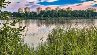 Wynajmę Mieszkanie Katowice - 50 m²