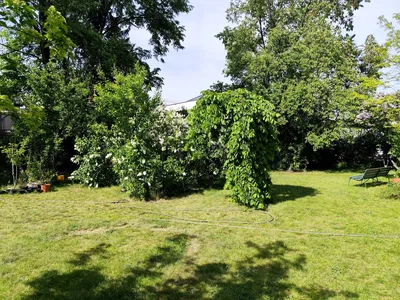 Wynajmę Mieszkanie Warszawa - 70 m² - miniatura 5