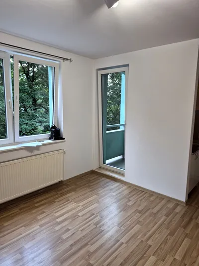 Wynajmę Mieszkanie Poznań - 30 m² - miniatura 2