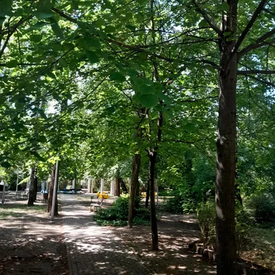 Wynajmę Mieszkanie Warszawa - 50 m² - miniatura 3
