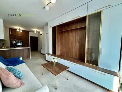 Wynajmę Mieszkanie Poznań - 43 m² - miniatura 2