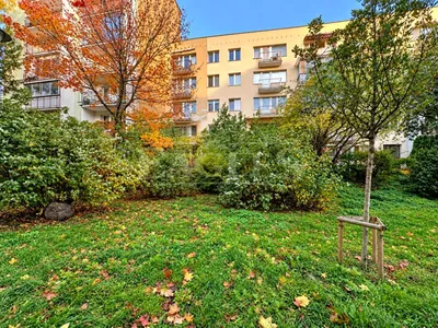 Wynajmę Mieszkanie Warszawa - 63,30 m² - miniatura 4