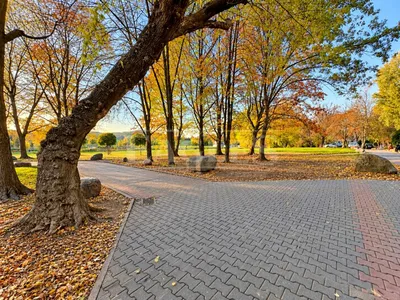 Wynajmę Mieszkanie Warszawa - 63,30 m² - miniatura 3