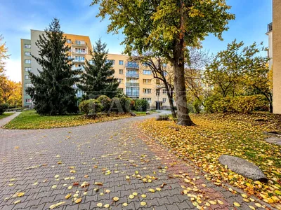 Wynajmę Mieszkanie Warszawa - 63,30 m² - miniatura 5
