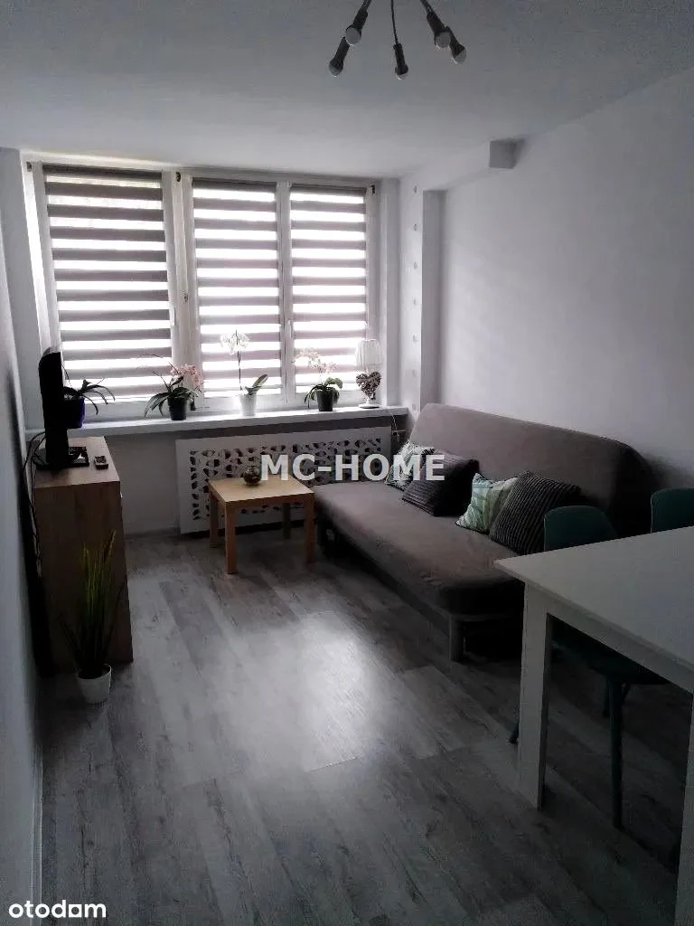 Wynajmę Mieszkanie Katowice - 38,50 m² - 1/16